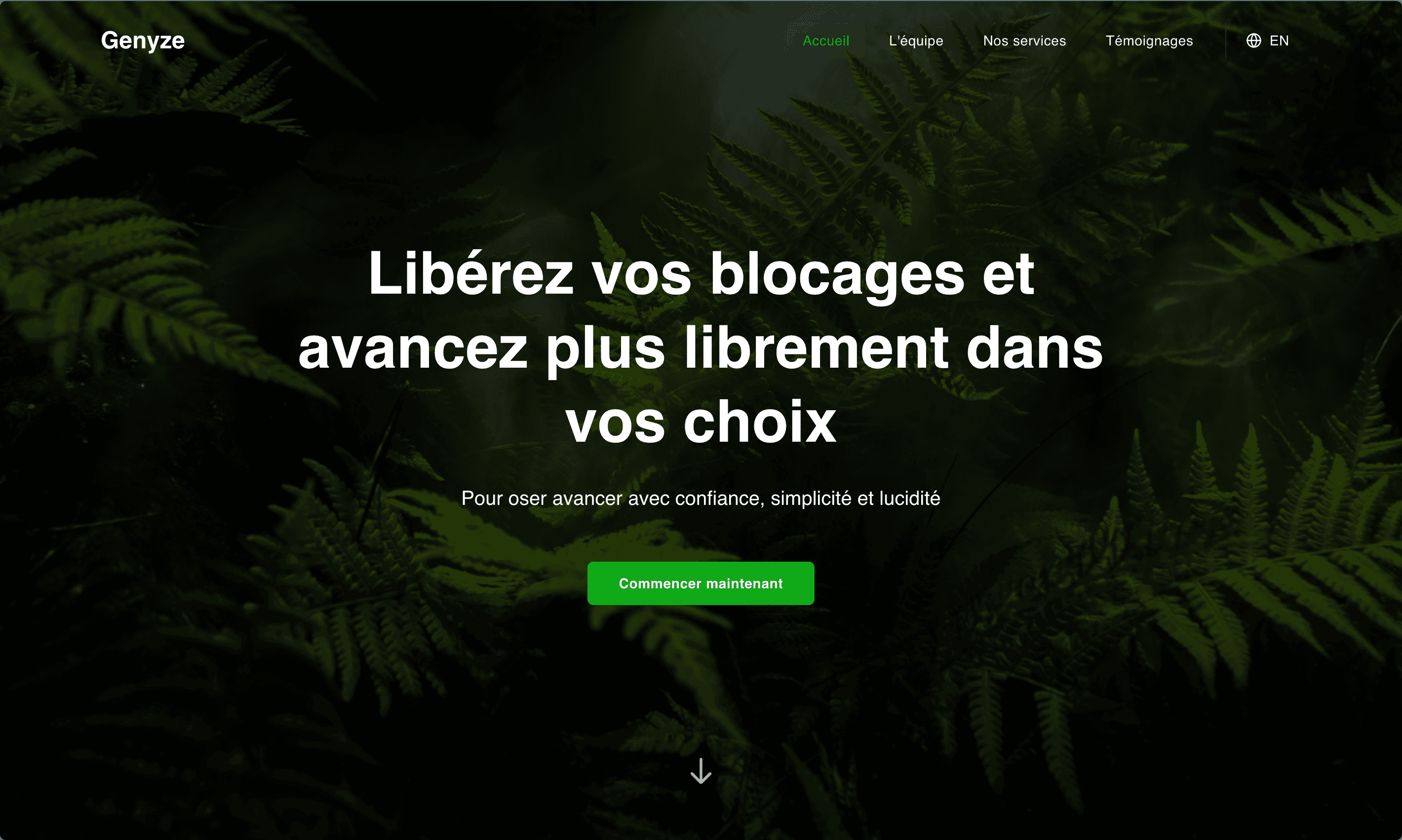 Genyze Consulting - Site web bilingue